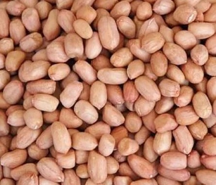 Premium Peanuts 250 Gm
